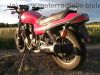 Honda_CBX_650_E_RC13_rot_nackt_-_wie_CB_CBX_550_650_750_SC_F_F2_PC04_RC17_102.jpg