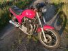 Honda_CBX_650_E_RC13_rot_nackt_-_wie_CB_CBX_550_650_750_SC_F_F2_PC04_RC17_87.jpg