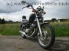 SYM_Husky_125_Chopper_schwarz_original__5334_KM_-_wie_REX_DAELIM_Hyosung_Kymco_125_47.jpg