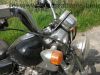 SYM_Husky_125_Chopper_schwarz_original__5334_KM_-_wie_REX_DAELIM_Hyosung_Kymco_125_63.jpg