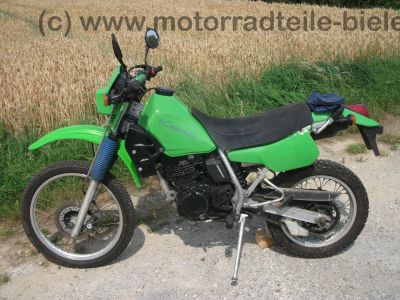 Kawasaki_KLR_250_gruen_Typ_KL_250_D_-_wie_KL_KLR_KLX_KMX_125_200_250_600_650_A_B_C_D_E_5b.jpg