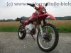 Honda_XL_600_R_PD03_rot_unfallfrei_Kopfrisse_-_wie_XL_XR_250_350_400_500_600_650_R_RM_LM_MD11_ND03_PD04_67.jpg