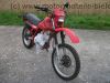 Honda_XL_600_R_PD03_rot_unfallfrei_Kopfrisse_-_wie_XL_XR_250_350_400_500_600_650_R_RM_LM_MD11_ND03_PD04_71.jpg