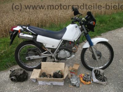 Honda_NX_125_JD09_Transcity_kleine_Dominator_wie_JD12_Cityfly_JD18_NX_250_XL_125_R_TD01_32.jpg