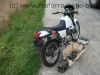 Honda_NX_125_JD09_Transcity_kleine_Dominator_wie_JD12_Cityfly_JD18_NX_250_XL_125_R_TD01_4.jpg