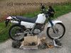 Honda_NX_125_JD09_Transcity_kleine_Dominator_wie_JD12_Cityfly_JD18_NX_250_XL_125_R_TD01_5.jpg