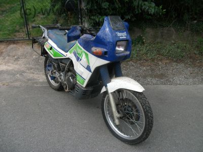 Kawasaki_KLR_650_B_TENGAI_EZ_93_abgemeldet_96_22tkm_-_KL_KLR_250_600_650_A_B_C_D_63.jpg