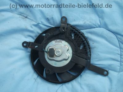 Suzuki_GSX-R_GSXR_750_600_K6_K7_zerlegt_-_Motor_Hinterrad_Schwinge_Verkleidung_etc__57.jpg