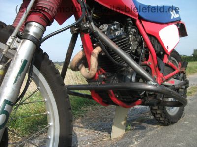 Honda_XL_250_R_MD11_rot_Stunt_-_wie_MD03_XL_350_R_ND03_XL_600_R_PD03_13.jpg