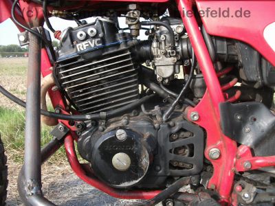 Honda_XL_250_R_MD11_rot_Stunt_-_wie_MD03_XL_350_R_ND03_XL_600_R_PD03_20.jpg