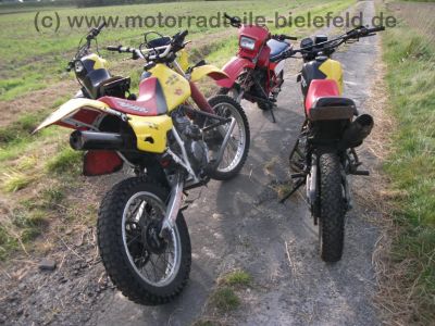 Honda_XL_250_R_MD11_rot_Stunt_-_wie_MD03_XL_350_R_ND03_XL_600_R_PD03_86.jpg