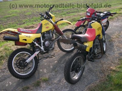 Honda_XL_250_R_MD11_rot_Stunt_-_wie_MD03_XL_350_R_ND03_XL_600_R_PD03_87.jpg