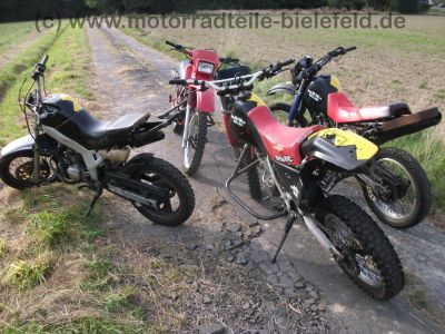 Honda_XL_250_R_MD11_rot_Stunt_-_wie_MD03_XL_350_R_ND03_XL_600_R_PD03_97.jpg