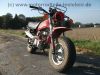 Honda_CY_50_rot_Tank_Auspuff_Vergaser_PC15A_gut_-_wie_XL_CB_50_J_Z_ST_SS_50_DAX_Monkey_63.jpg