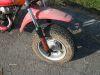 Honda_CY_50_rot_Tank_Auspuff_Vergaser_PC15A_gut_-_wie_XL_CB_50_J_Z_ST_SS_50_DAX_Monkey_68.jpg