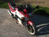 Kawasaki_GPZ_500_S_rosa-weiss_60PS_EX_500_A_-_wie_EN_KLE_ER_500_ER-5_53.jpg