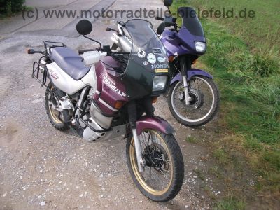 Honda_XL_600_V_Transalp_PD10_EZ_1998_3x_Stahlflex_Bremsleitung_hohe_Scheibe_-_wie_PD06_3.jpg