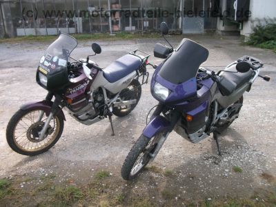 Honda_XL_600_V_Transalp_PD10_EZ_1998_3x_Stahlflex_Bremsleitung_hohe_Scheibe_-_wie_PD06_5.jpg