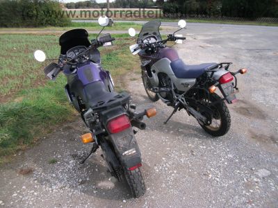 Honda_XL_600_V_Transalp_PD10_EZ_1998_3x_Stahlflex_Bremsleitung_hohe_Scheibe_-_wie_PD06_7.jpg