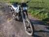 Honda_MTX_80_R_II_R2_HD09_Enduro_rot-blau_EZ_87_-_wie_MTX_MT_MB_MBX_50_80_125_C_R_I_II_1_2_LC_113.jpg