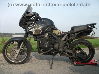 Triumph_Tiger_885i_T709_Crash_-_wie_T300_T400_855_900_955i_Daytona_Trident_Trophy_Speed_Triple_1b.jpg
