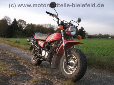 Honda_CY_50_orange-rot_original_Schluessel_Papiere_-_wie_CY_CB_XL_TL_SL_CL_Z_ST_50_80_90_100_125_DAX_Monkey_10.jpg