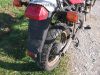 Honda_XL_600_V_Transalp_PD06_bunt_3x_GIVI_4x_Zylinderkopf_-_wie_XL_XRV_VT_600_650_750_PD10_RD03_RD04_115.jpg