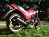 Kawasaki_GPZ_305_Kette_Typ_EX_305_A_rot_Auspuff_KHI_K_070_-_wie_GPz_Z_KZ_CSR_250_305_A_B_C_LTD_BD_Belt_Drive_56.jpg