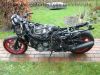 Honda_CBR_1000_F_SC21_nackt_original_Auspuff_Motor_-_wie_CBR_600_PC19_PC23_SC24_46.jpg
