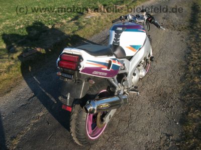 Yamaha_FZR_600_R_4JH_lila-weiss_Sturz_-_wie_YZF_600_R_Thundercat_4VT_4WD_3HE_TDM_850_52.jpg