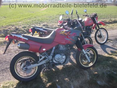 Honda_NX_650_Dominator_RD02_schwarz_Super-Moto_SuMo_Excel_17x3_50_und_17x4_25_-_wie_XL_XR_NX_SLR_FMX_500_600_650_RD_06_08_09_3.jpg