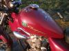 REX_Chopper_125_lila-rot_love_kills_-_wie_REX_Cruiser_Kreidler_Mustang_Kymco_ZING_SMC_SYM_Husky_125_14.jpg