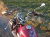 REX_Chopper_125_lila-rot_love_kills_-_wie_REX_Cruiser_Kreidler_Mustang_Kymco_ZING_SMC_SYM_Husky_125_15.jpg