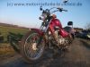 REX_Chopper_125_lila-rot_love_kills_-_wie_REX_Cruiser_Kreidler_Mustang_Kymco_ZING_SMC_SYM_Husky_125_3.jpg