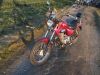 REX_Chopper_125_lila-rot_love_kills_-_wie_REX_Cruiser_Kreidler_Mustang_Kymco_ZING_SMC_SYM_Husky_125_4.jpg