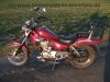 REX_Chopper_125_lila-rot_love_kills_-_wie_REX_Cruiser_Kreidler_Mustang_Kymco_ZING_SMC_SYM_Husky_125_5.jpg