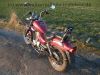 REX_Chopper_125_lila-rot_love_kills_-_wie_REX_Cruiser_Kreidler_Mustang_Kymco_ZING_SMC_SYM_Husky_125_6.jpg