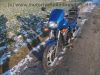 Honda_VT_500_E_PC11_hellblau_25kW_Gepaecktraeger_orig__Auspuff_HMMF9_E_6.jpg