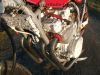 Yamaha_XJ_600_3KM_Cafe-Racer_rot_Tank_Sitz_Monocoque_-_wie_XJ_400_500_550_650_700_750_Maxim_Radian_SECA_51J_3KN_4V8_4K0_11M_41Y_20.jpg