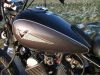 Yamaha_XV_125_S_5AJ_Virago_-_wie_XV_250_535_3LW_3LS_2YL_3BR_3BT_Sachs_Roadster_125_36.jpg