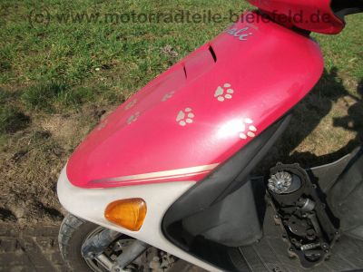 Honda_SJ_50_Bali_AF32_rot_EZ_95_2-Takt_Roller_49_ccm_3kw_50_kmh_20.jpg