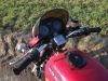 Honda_CX_500_rot_37kW_Front-Maske_JAMA_Auspuff_-_wie_CX_500_C_PC01_87.jpg