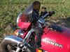 Honda_CX_500_rot_37kW_Front-Maske_JAMA_Auspuff_-_wie_CX_500_C_PC01_94.jpg