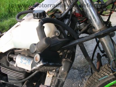 Kawasaki_GPZ_500_S_schwarz-gruen_ABM_Fussrasten_Motor_37_tKM-_wie_GPZ_KLE_EN_EX_500_A_B_C_D_LTD_Twin_92.jpg