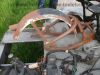 Honda_VT_600_C_Shadow_Custom-Umbau_Schwinge_Fender_Mono-Sitz_Tank-Tacho_orig__Auspuff_HM_MR1_E1_16tMls_29.jpg