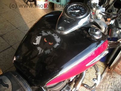 Suzuki_VL_800_Intruder_LC_VOLUSIA_Crash_Gepaecktraeger_mit_Koffer-System_-_wie_VS_VZ_VX_600_700_750_800_Marauder__38.jpg