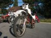 Honda_MTX_80_C_HD06_Enduro_Mokick_weiss-rot_-_wie_Honda_MT8_MB8_MT_MB_MBX_50_80_HD08_HD09_11.jpg