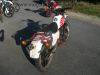 Honda_MTX_80_C_HD06_Enduro_Mokick_weiss-rot_-_wie_Honda_MT8_MB8_MT_MB_MBX_50_80_HD08_HD09_42.jpg