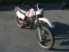 Honda_MTX_80_C_HD06_Enduro_Mokick_weiss-rot_-_wie_Honda_MT8_MB8_MT_MB_MBX_50_80_HD08_HD09_44.jpg