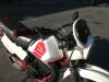 Honda_MTX_80_C_HD06_Enduro_Mokick_weiss-rot_-_wie_Honda_MT8_MB8_MT_MB_MBX_50_80_HD08_HD09_46.jpg